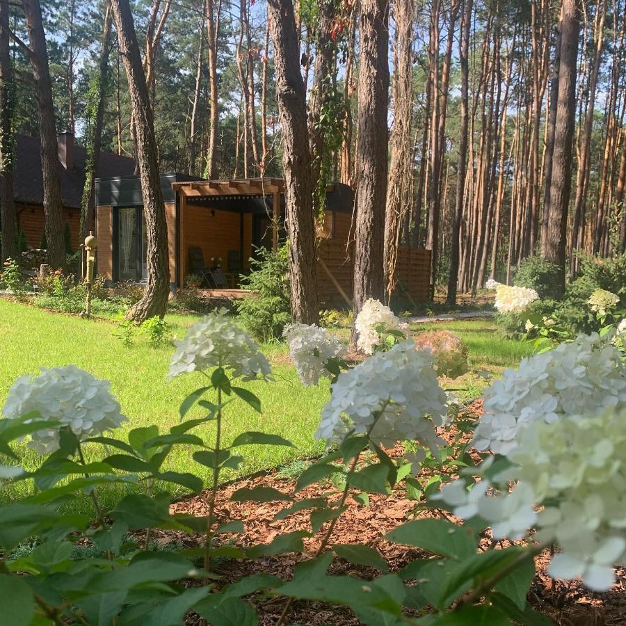 Uroczy mały domek na leśnej działce - Łosiówka Losie Exterior foto